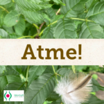 Dein Atem als Werkzeug, um angestaute Energie ins Fliessen zu bringen.