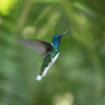 Energiearbeit erfahren