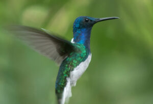 Energiearbeit lernen