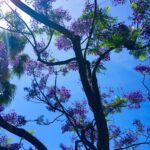 Verbundenheit im Miteinander auf allen Ebenen.