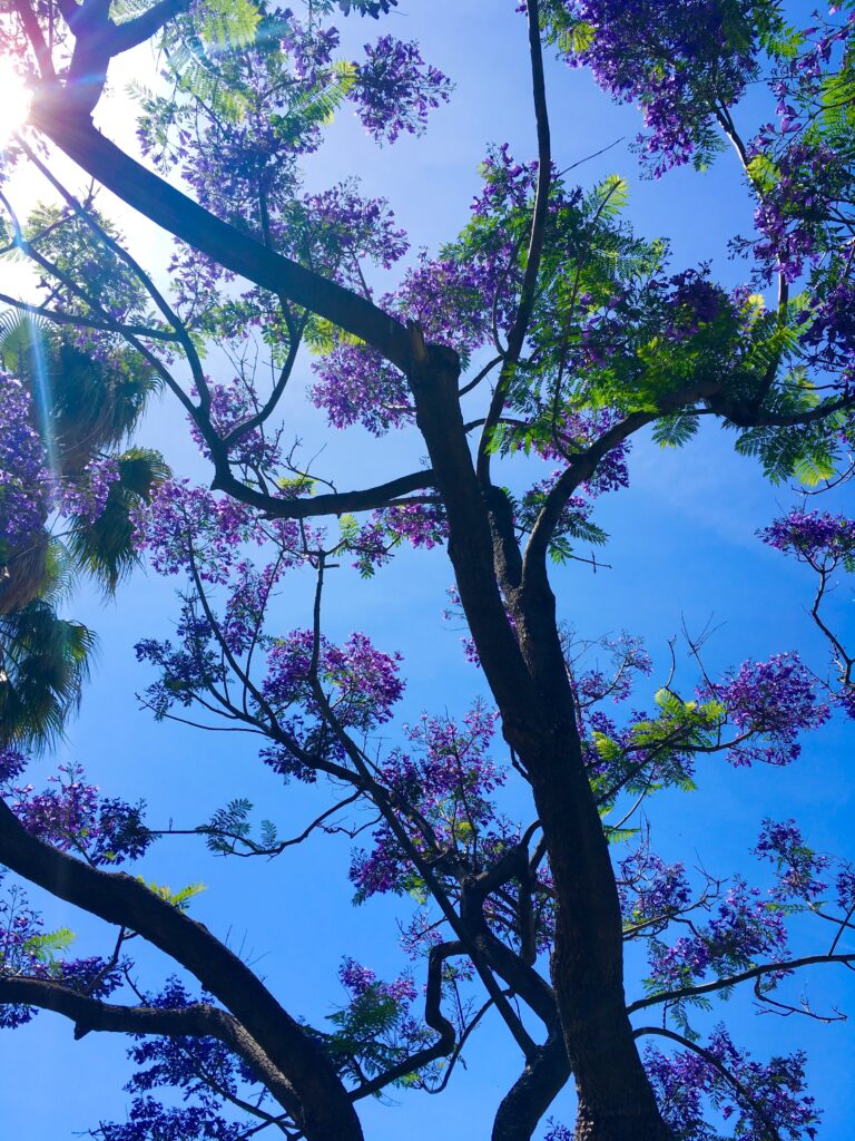 Verbundenheit im Miteinander auf allen Ebenen.